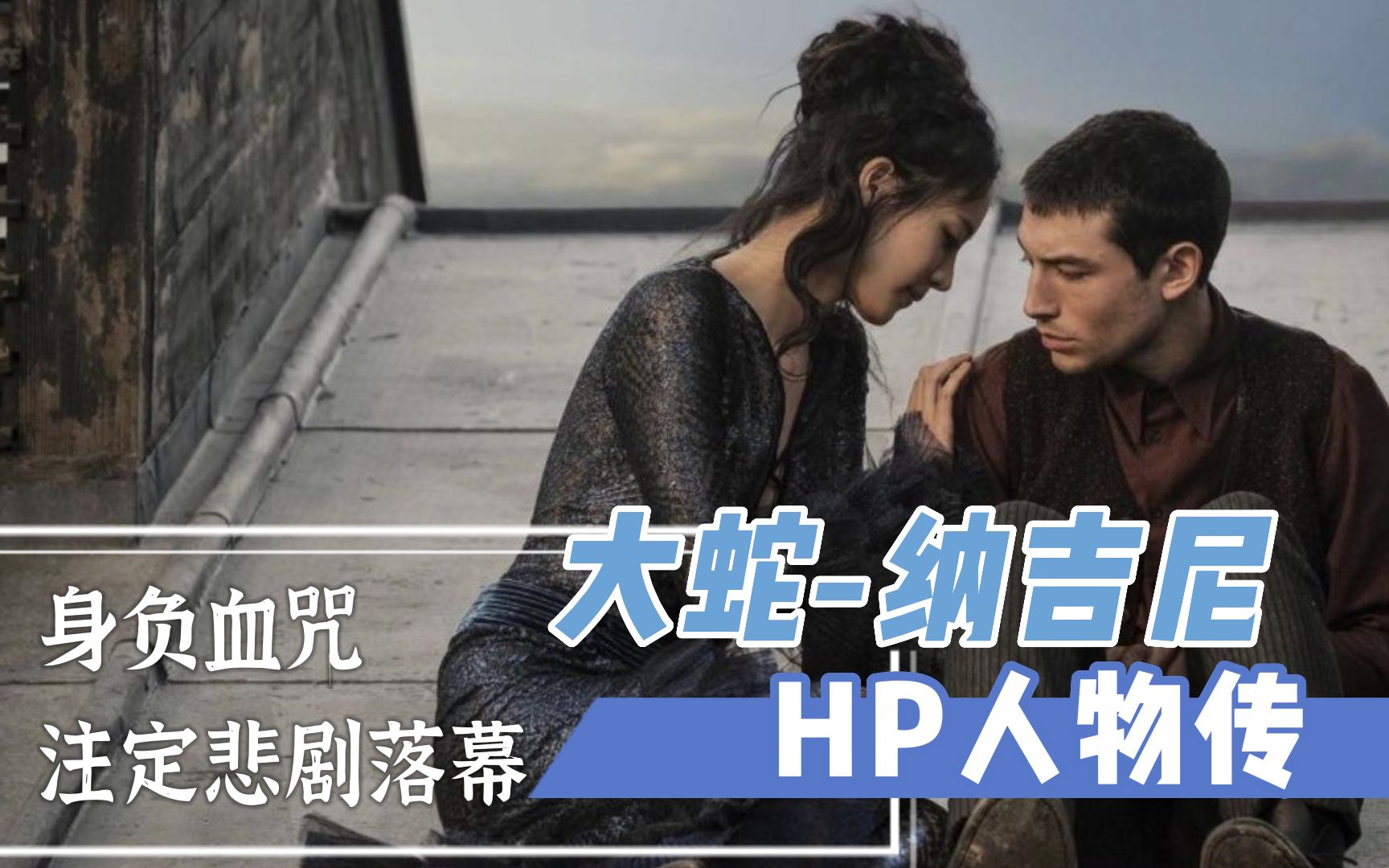 【HP人物传】身负血咒,注定悲剧落幕:大蛇纳吉尼<3/3>哔哩哔哩bilibili