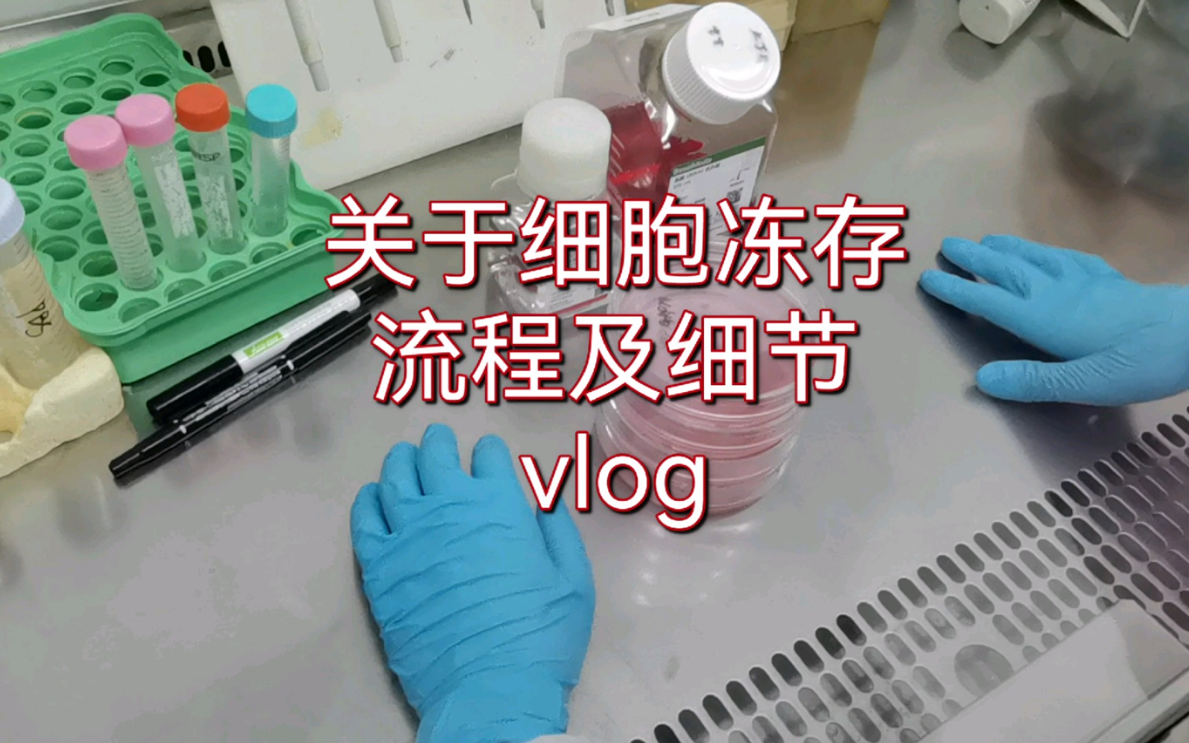 生物学小白不容错过~保姆级细胞冻存 vlog哔哩哔哩bilibili