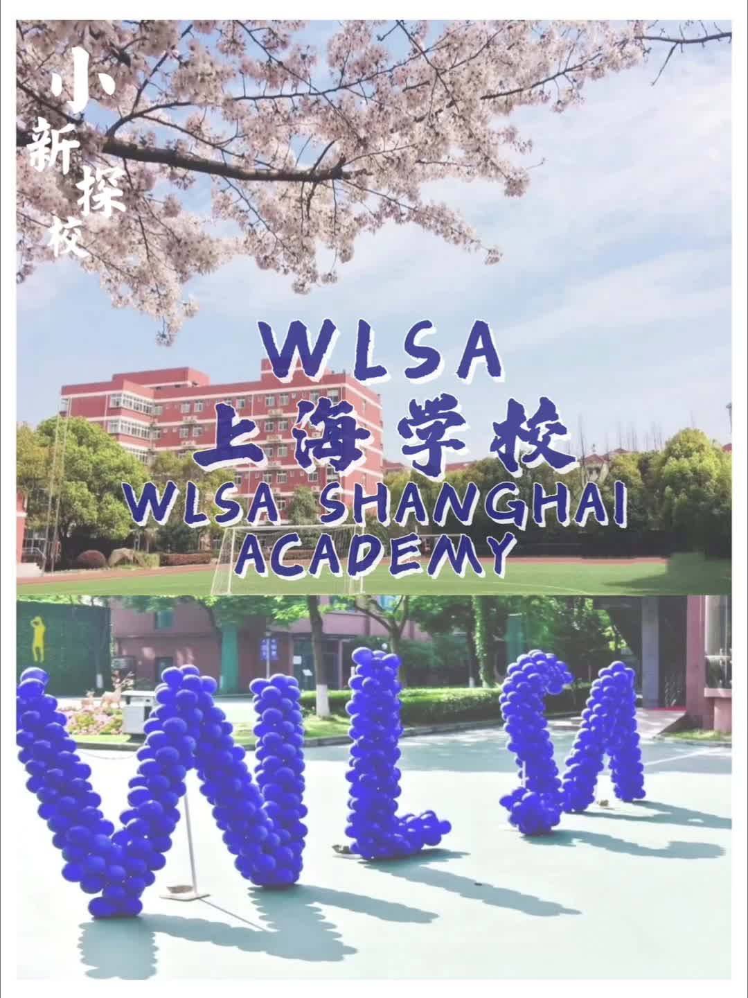 Wlsa上海学校哔哩哔哩bilibili