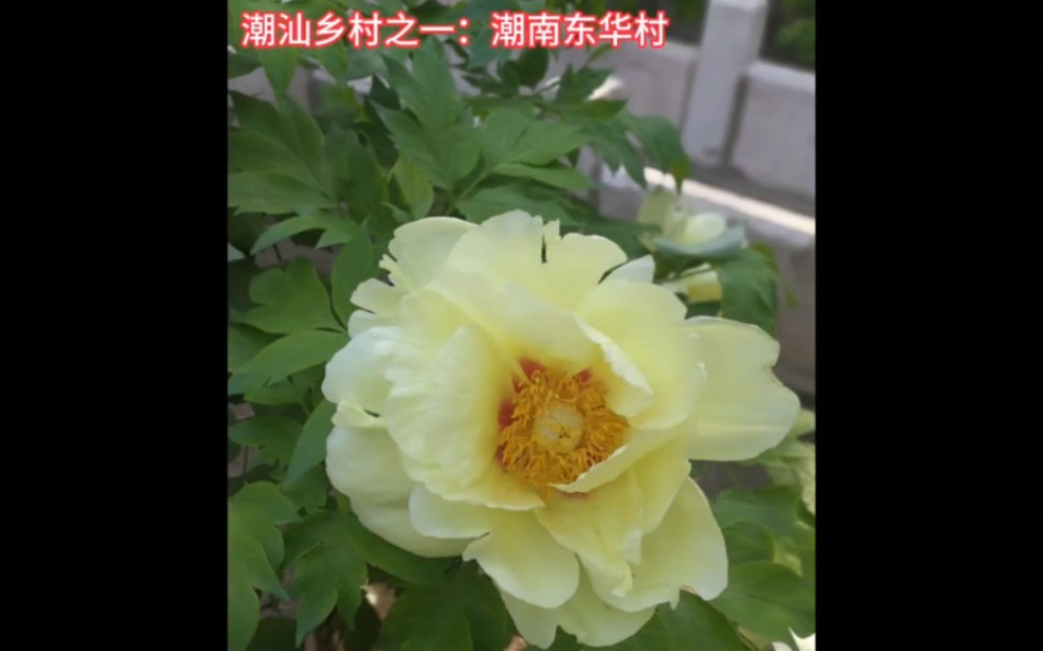 农村新风貌:潮汕乡村之一潮南东华村