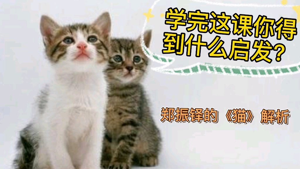 [图]学完这课你得到什么启发？郑振铎的《猫》解析