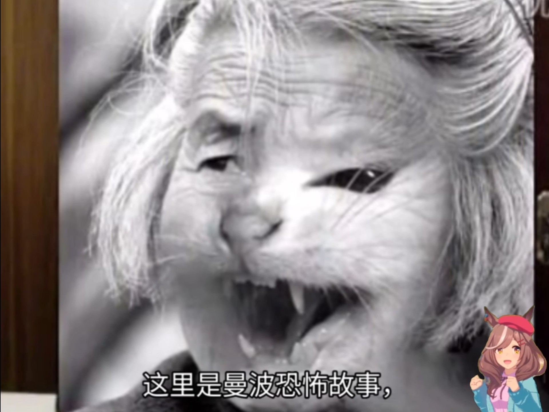 曼波恐怖故事
