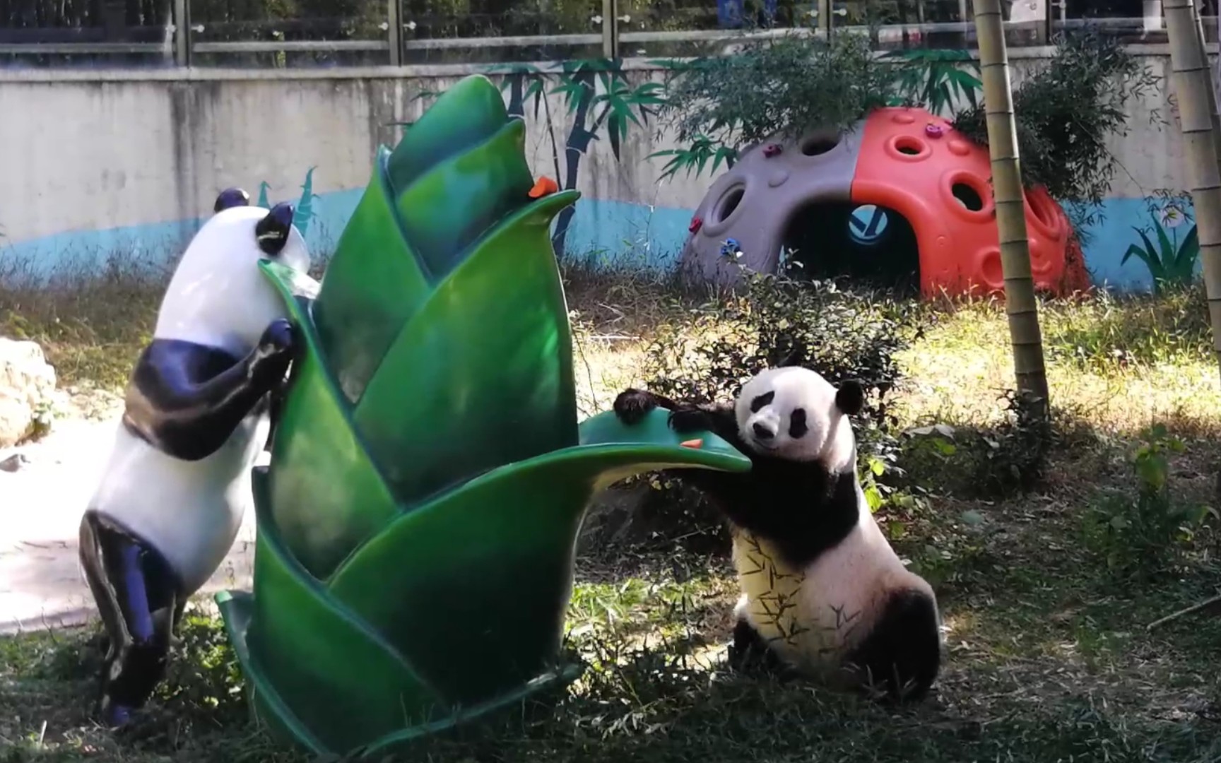 【大熊猫星安】乖宝的下午茶 找藏食 窝窝卜卜_哔哩哔哩 (゜-゜)つロ