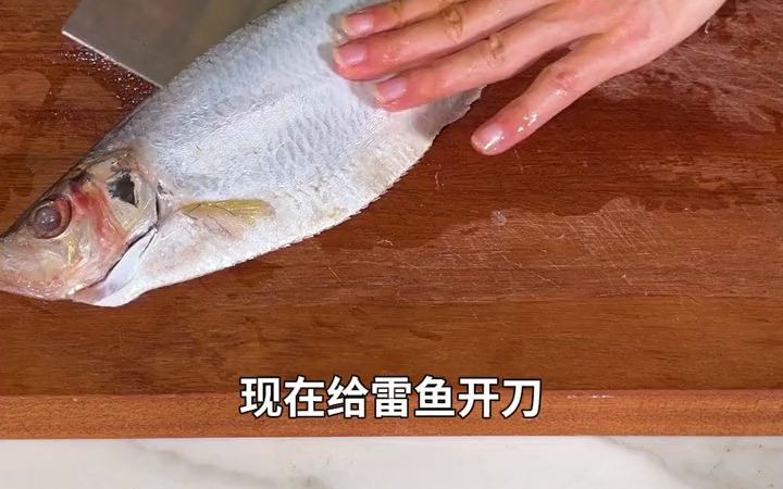 美食推荐广式雷鱼哔哩哔哩bilibili