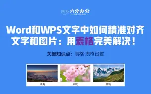 Word和WPS文字中如何精准对齐文字和图片：用表格完美解决！