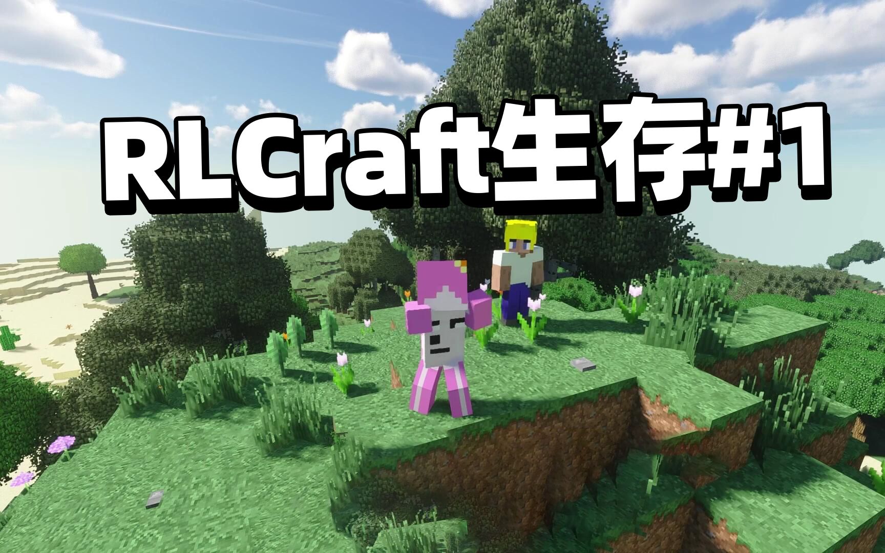 [图]我的世界RLCraft生存01 生存的第一天 捡石头度日