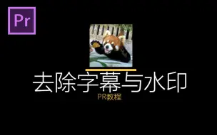 Tải video: 【PR教程】去除字幕和水印的方法