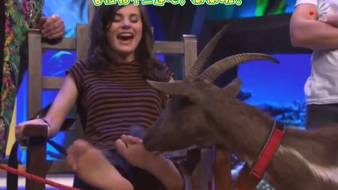 外国女嘉宾体验古代山羊笑刑,痒到崩溃!