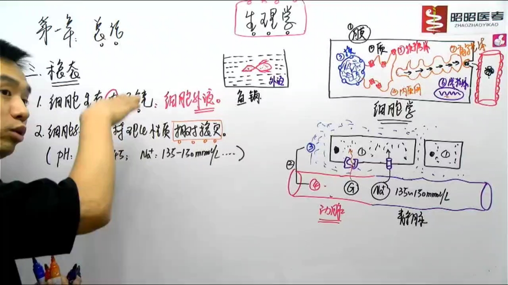 生理学的ソリューションのリーフレット