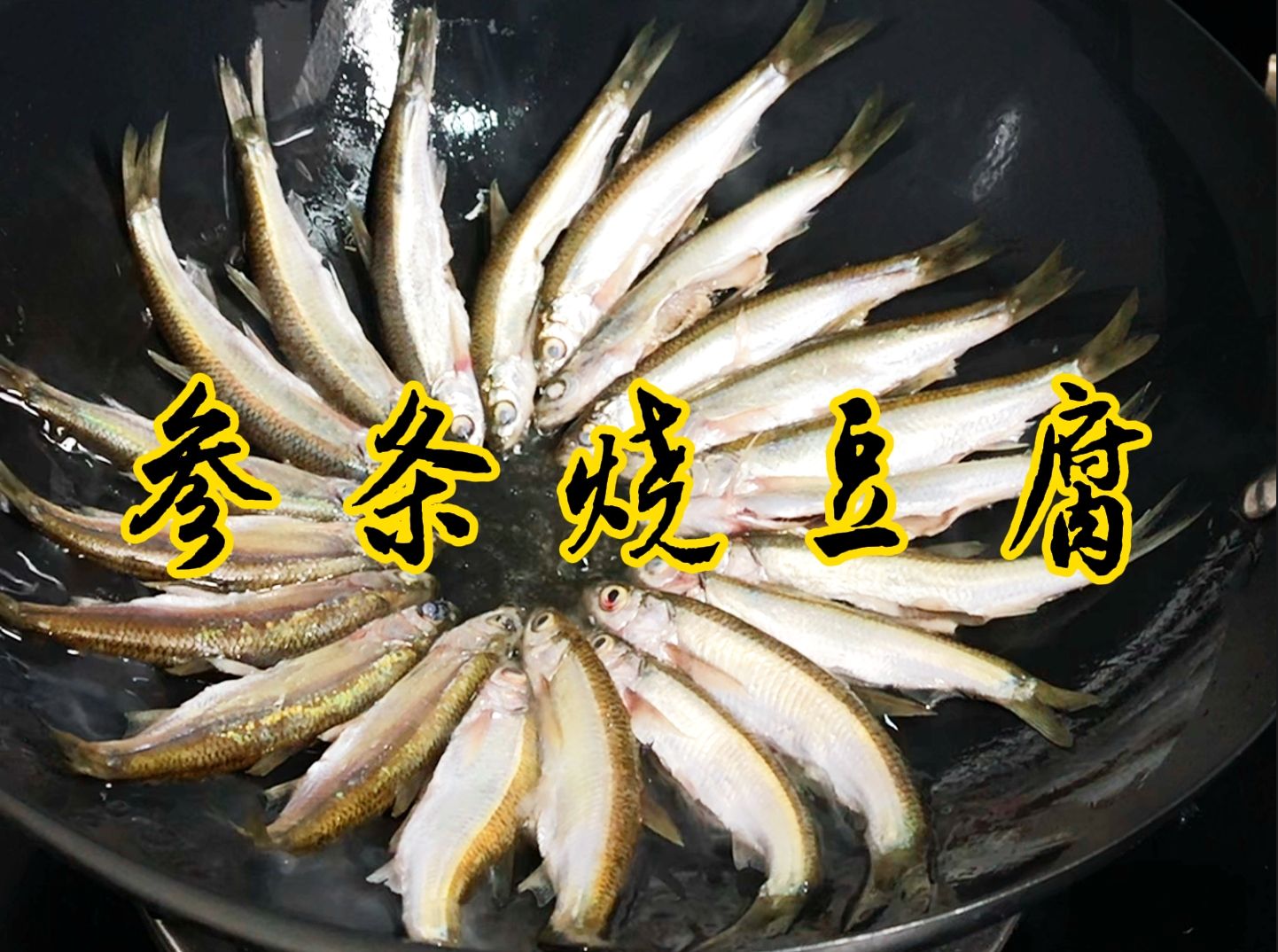 参条烧豆腐哔哩哔哩bilibili