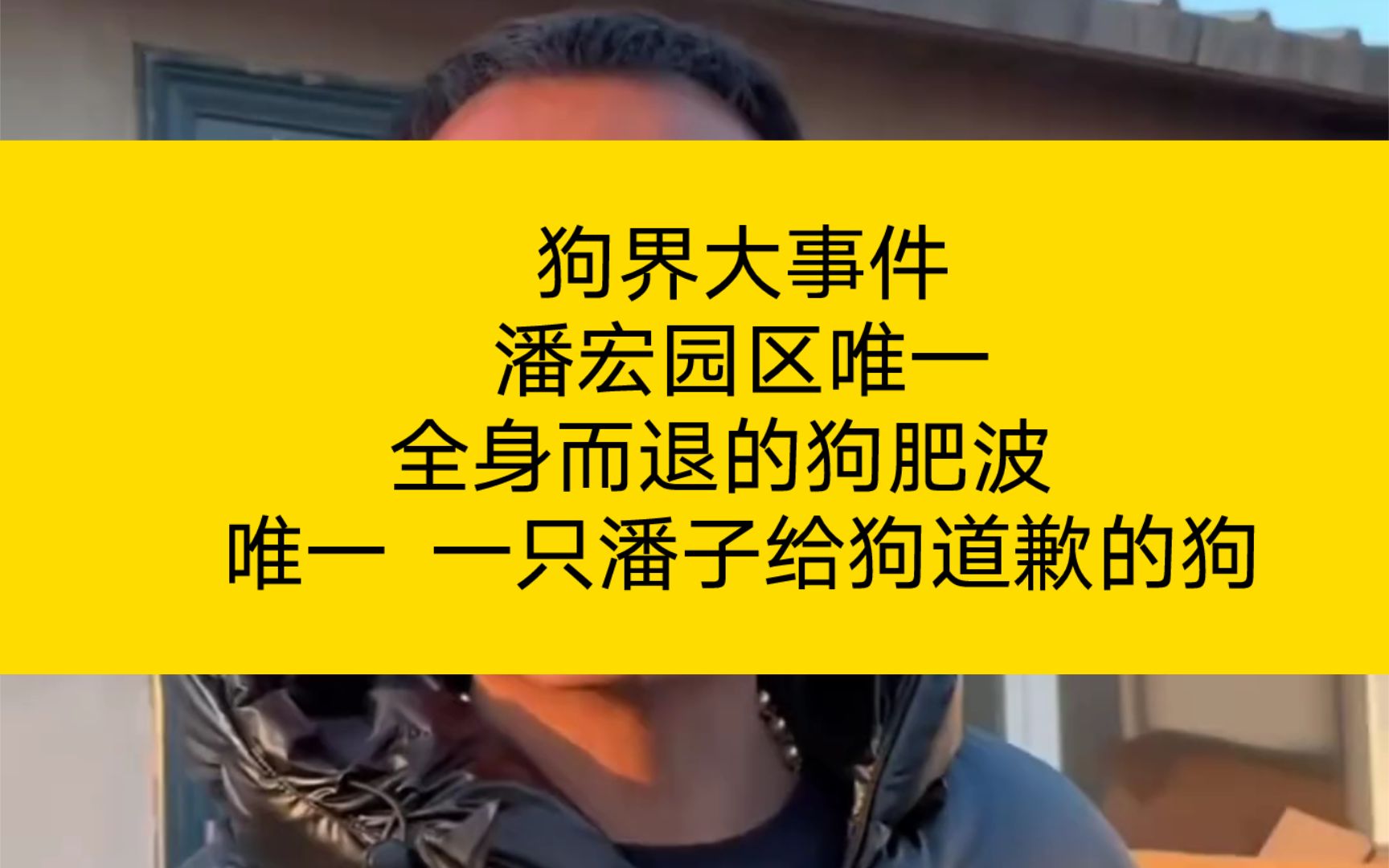 [图]狗界大事件 潘宏园区唯一 全身而退的狗肥波  唯一一只潘子给狗道歉的狗