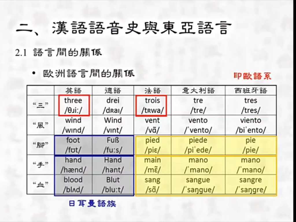 中国传统音韵学语言间的关系(以印欧语系为例)学习<>上海外国语大学哔哩哔哩bilibili