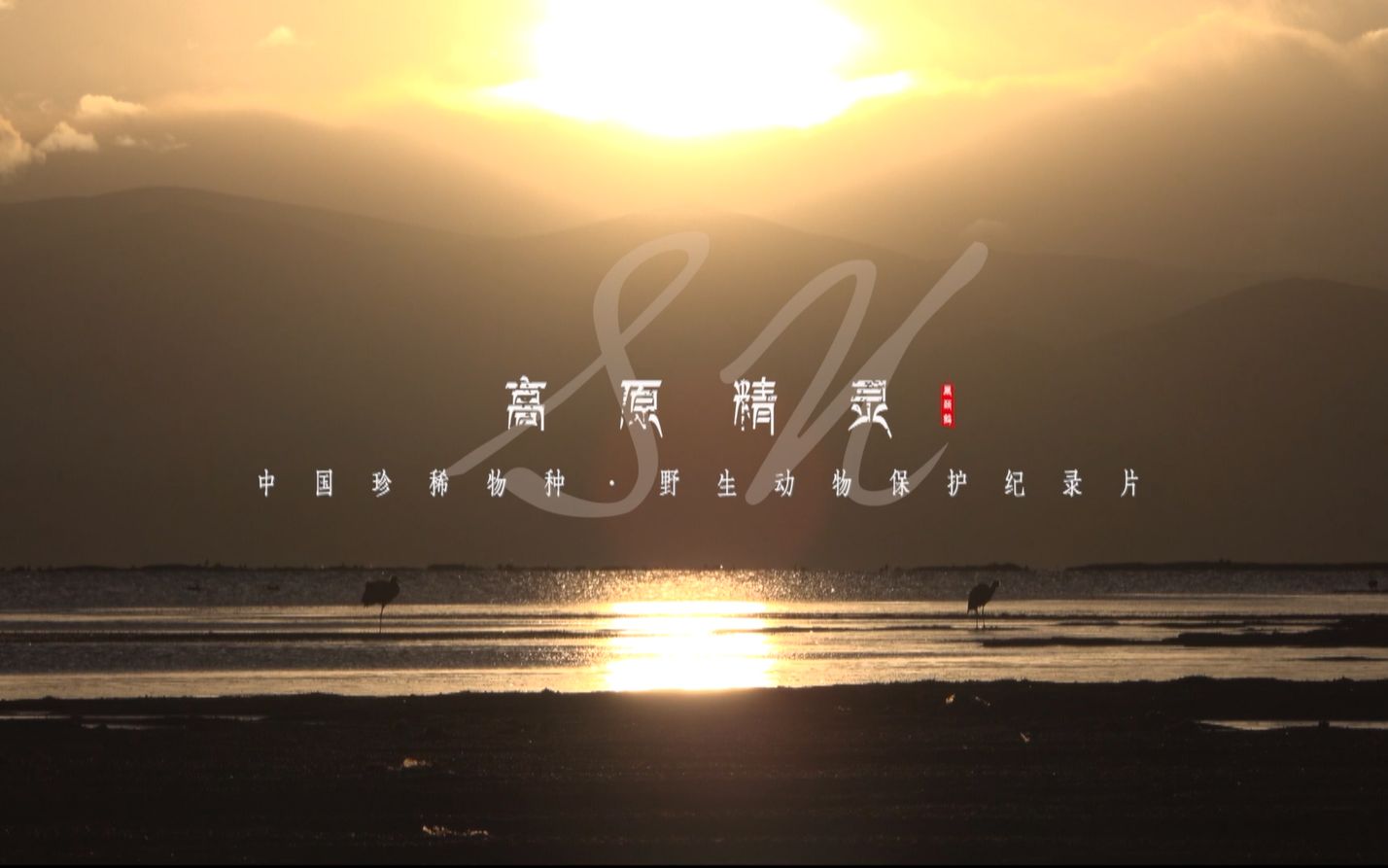 高原精灵哔哩哔哩bilibili