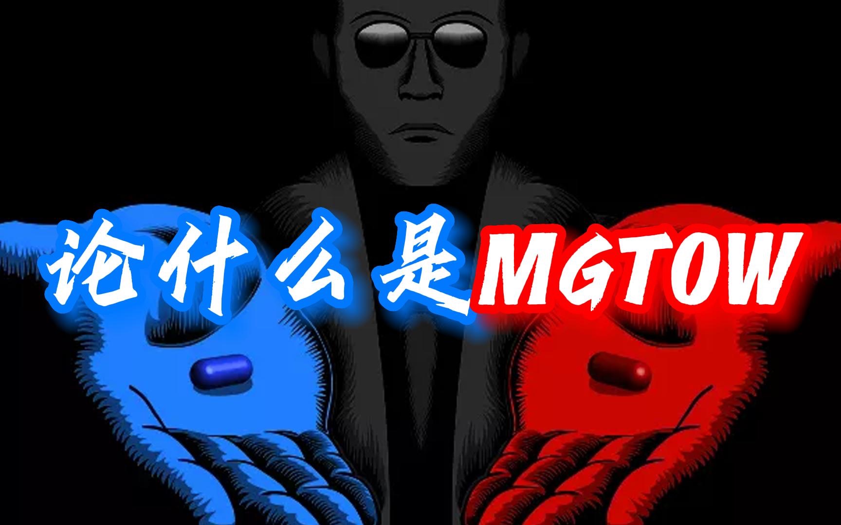 (三)论什么是MGTOW哔哩哔哩bilibili