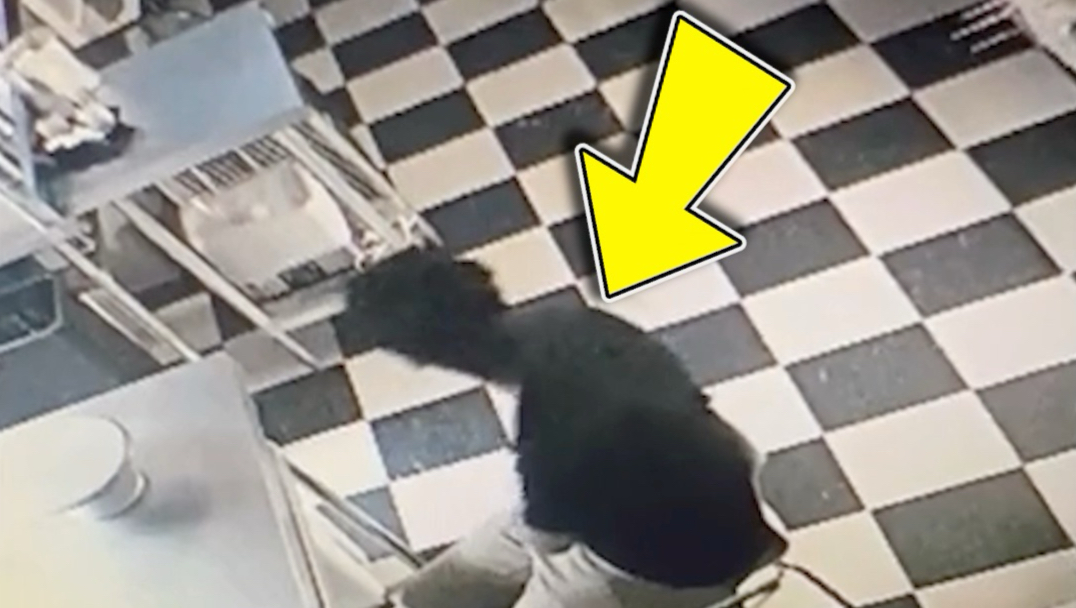 小偷入室盗窃，却意外让这家店爆红全网！