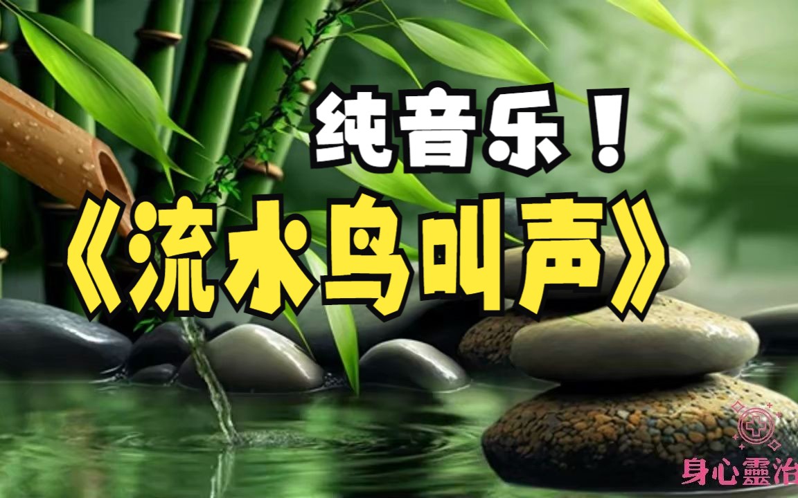 纯音乐,适合早上起床听,大自然流水声和清脆鸟叫声,适合工作,冥想