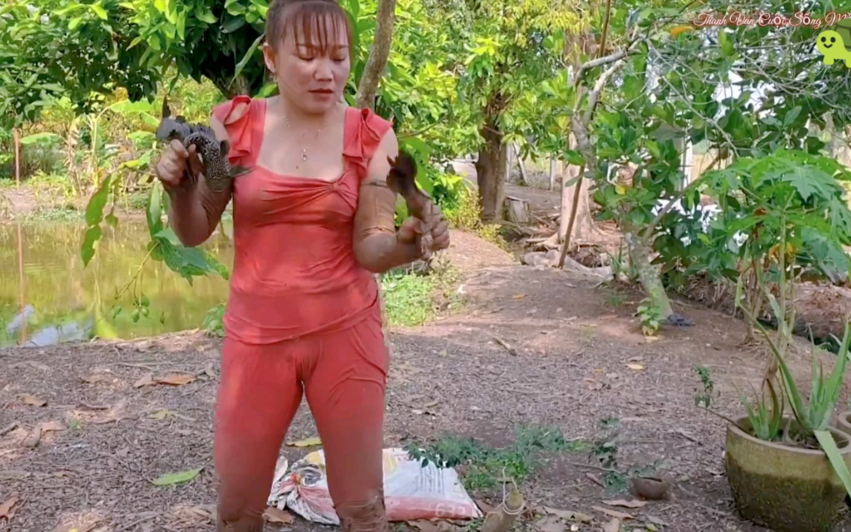 越南美女教大家抓鱼