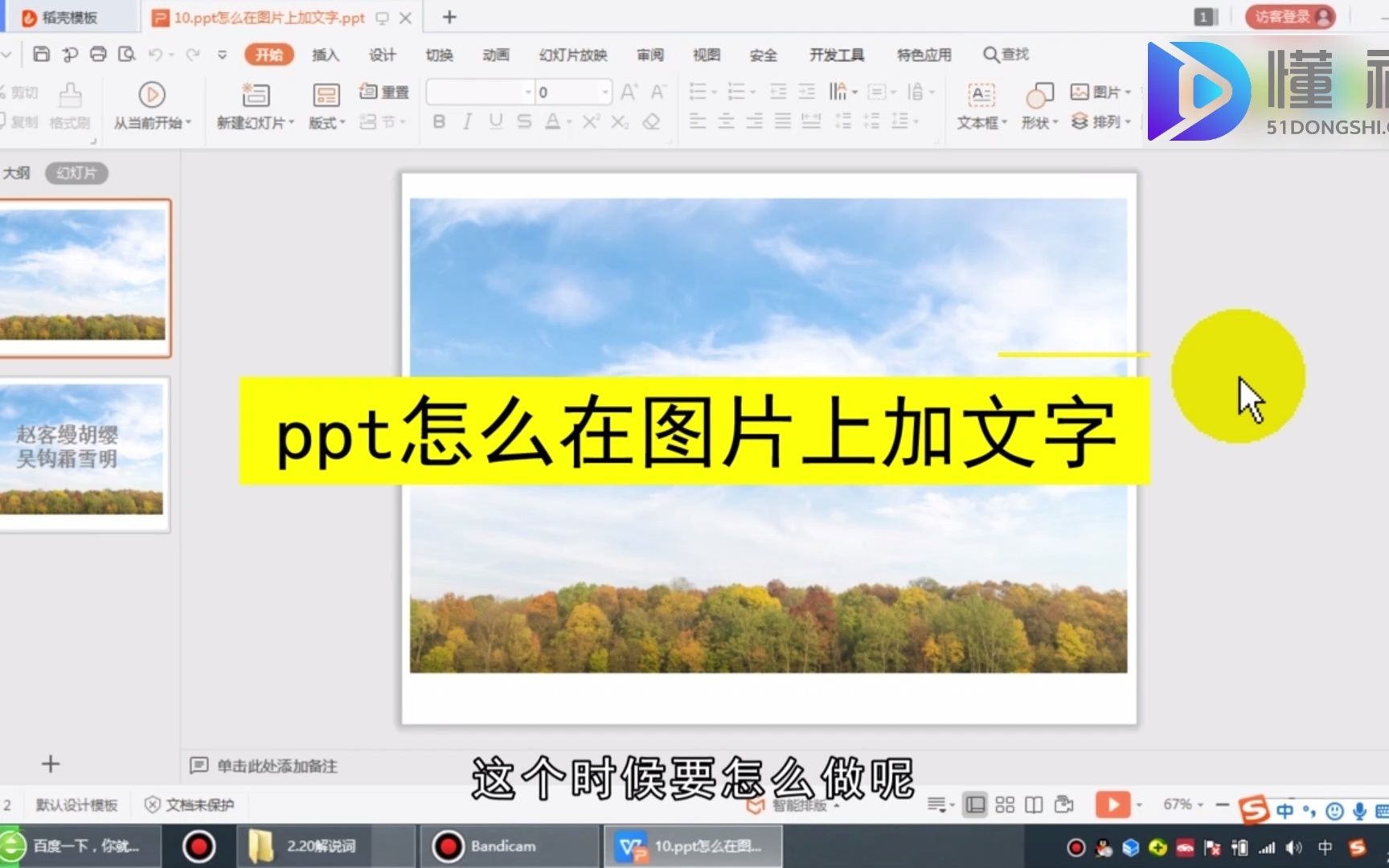 PPT怎么在图片上加文字?PPT在图片上加文字哔哩哔哩bilibili