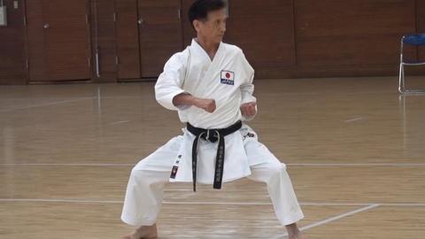 空手道】高段老师高清演武视频<日本武道馆-第30届国际武道讲习会>_哔哩
