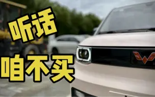 Download Video: 别买五菱宏光Mini EV ，求你了