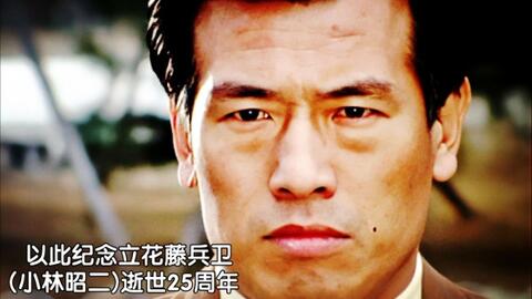 再见了 立花藤兵卫 小林昭二我们永远的老爹 队长向着太阳启程 哔哩哔哩 Bilibili