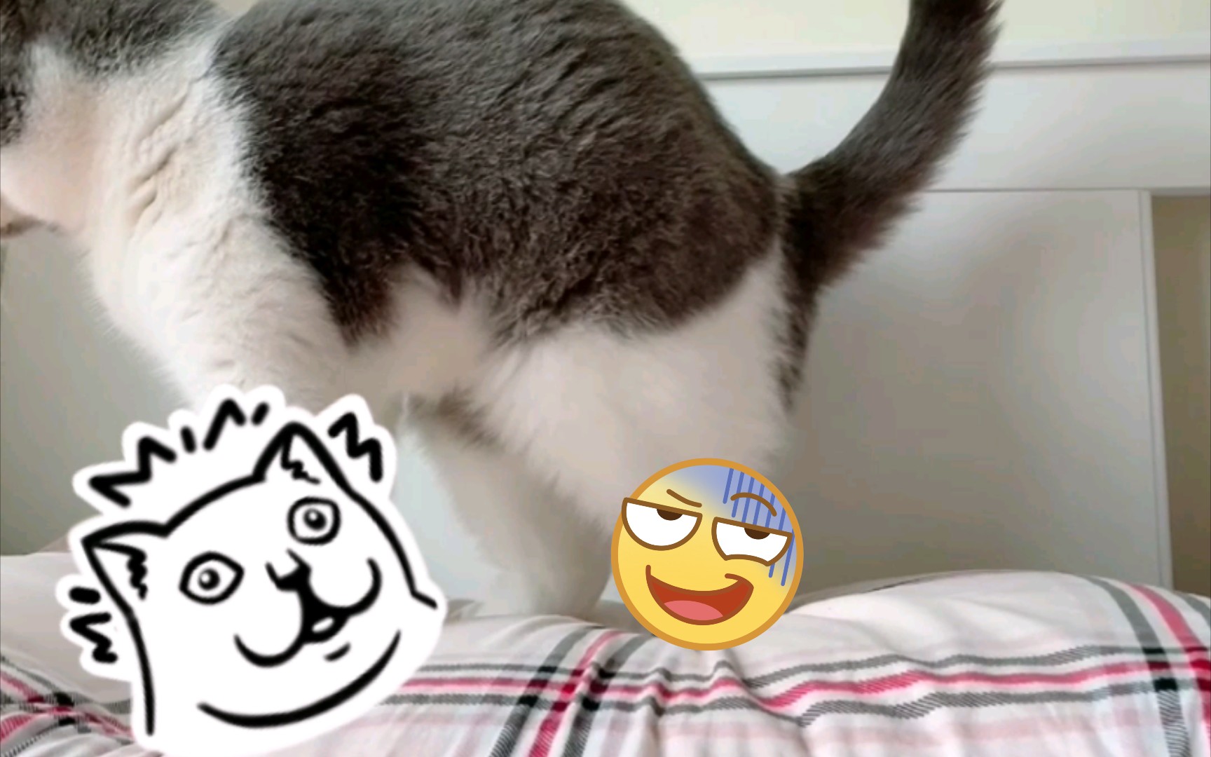 活动作品这是实在憋不住了还是把枕头当屎盆子了