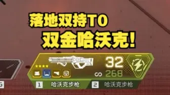 Download Video: 【Apex】落地双持金哈沃克；v我50都不给你玩