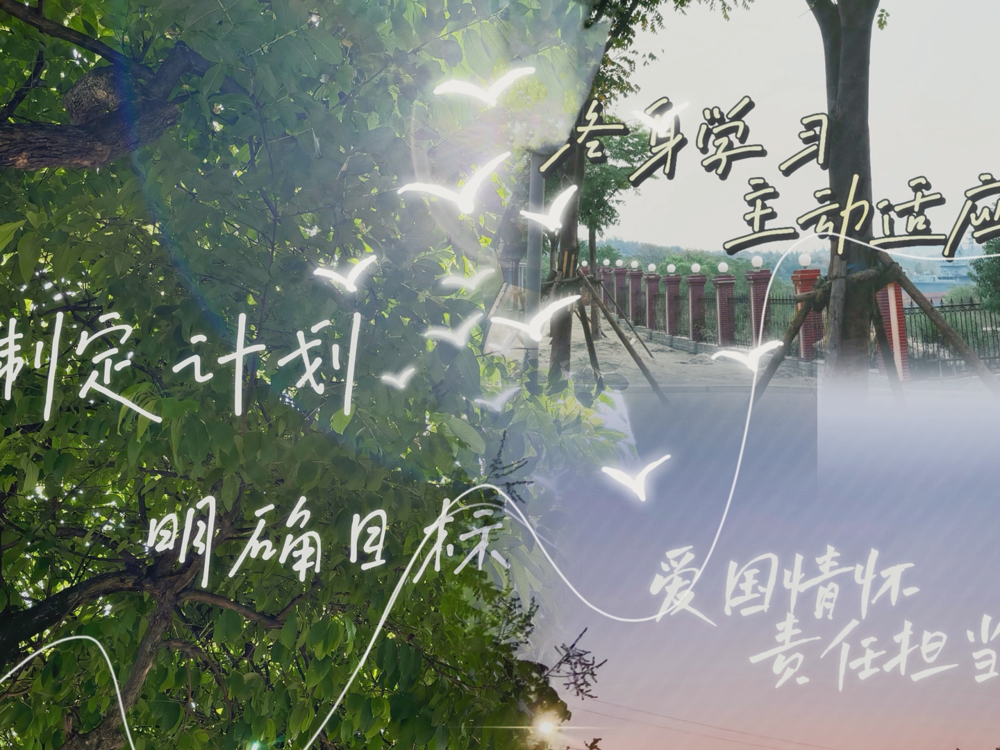 【小魁花花花】我的最新作品,快来一睹为快!哔哩哔哩bilibili