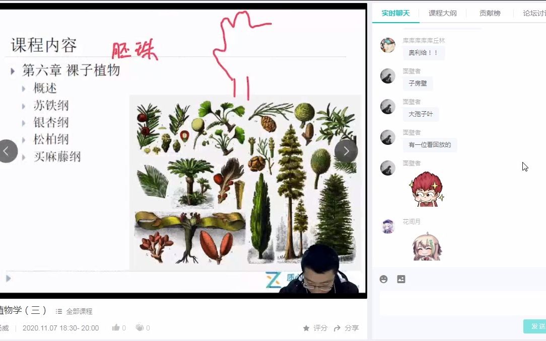 3植物学(三) 藻类和苔藓哔哩哔哩bilibili