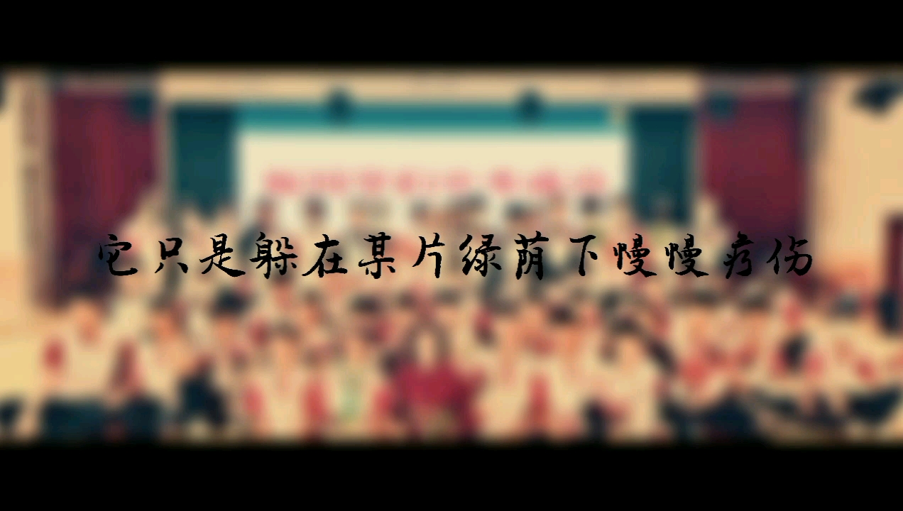 【毕业纪念】天津市滨海新区塘沽第十一中学九年一班(2019级)中考的故事哔哩哔哩bilibili