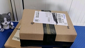 开箱 开盒 新的罕见物种cb钩吻蛇宝宝 长着鸟嘴的超可爱红钩吻蛇苗子 哔哩哔哩 つロ干杯 Bilibili