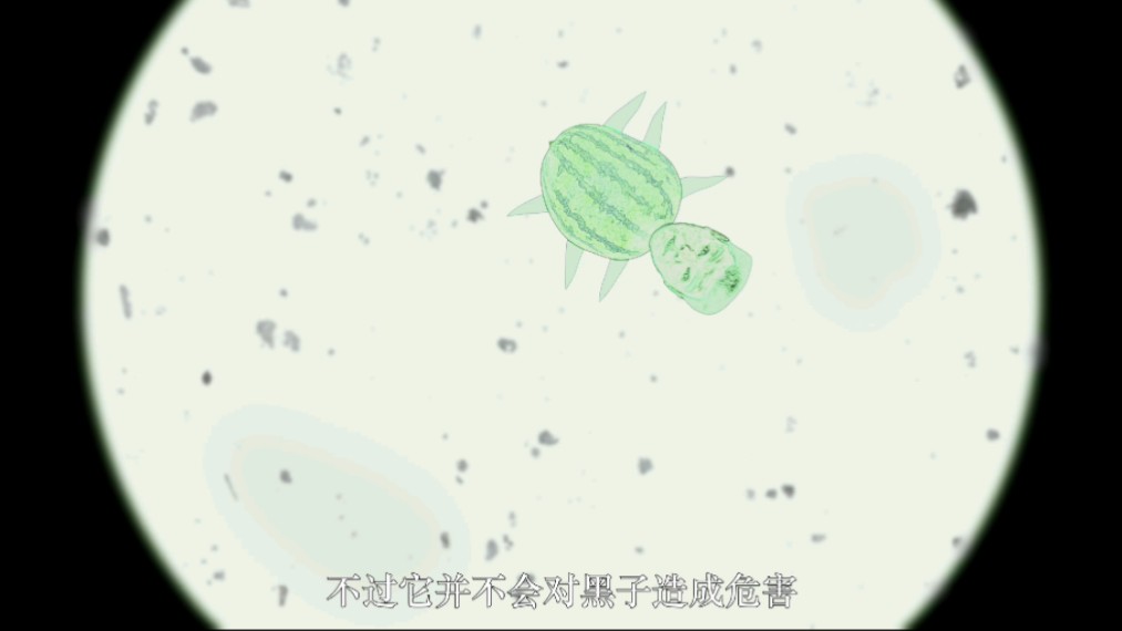 显微镜下的世界(迫真……)哔哩哔哩bilibili