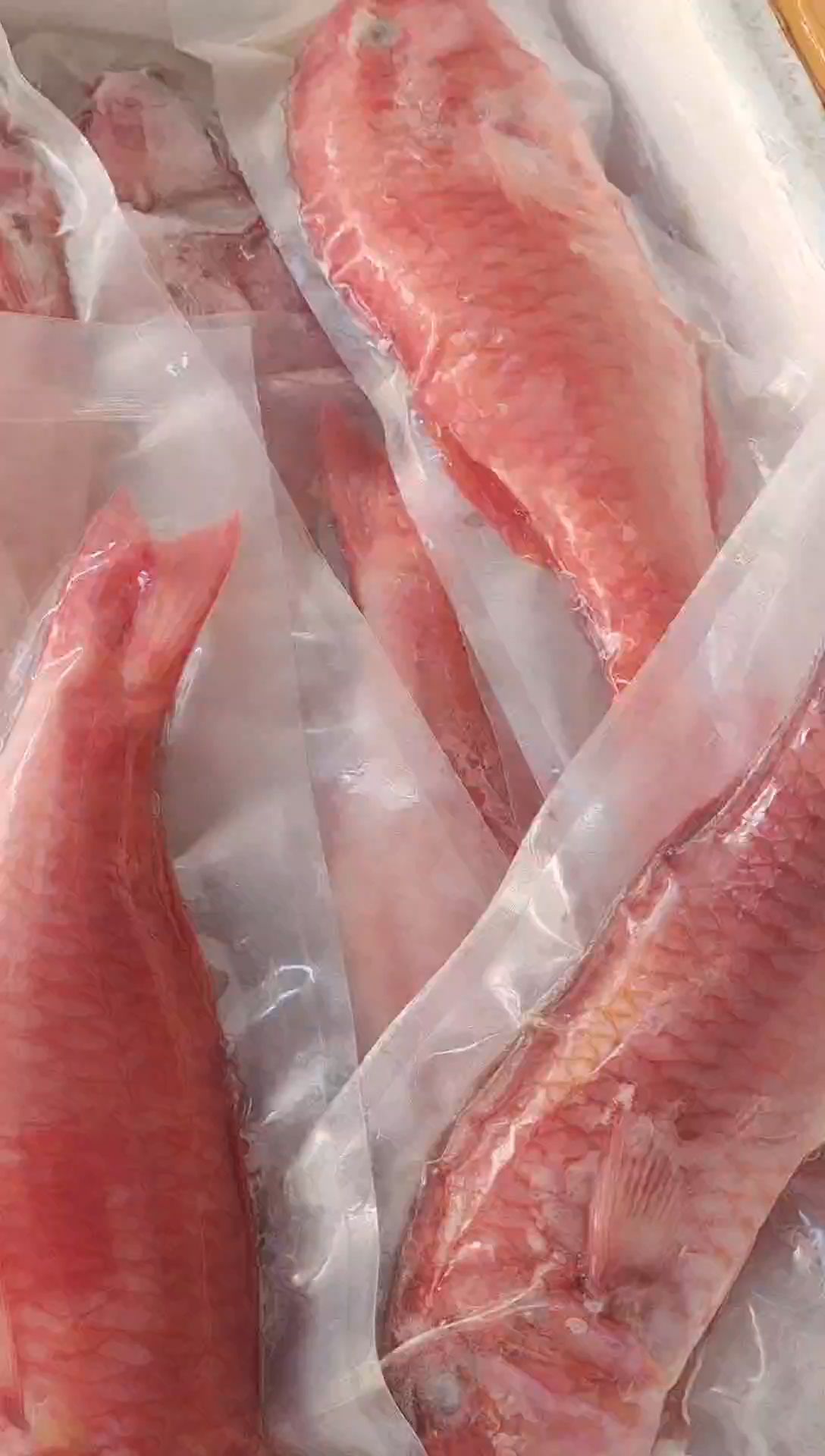 红海鲤,比东星斑好吃