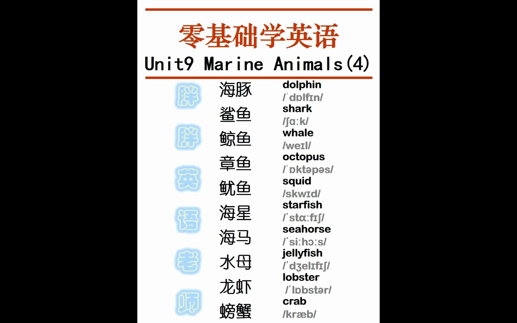 海豚鲨鱼鲸鱼章鱼鱿鱼海星海马水母龙虾螃蟹英语怎么说哔哩哔哩bilibili