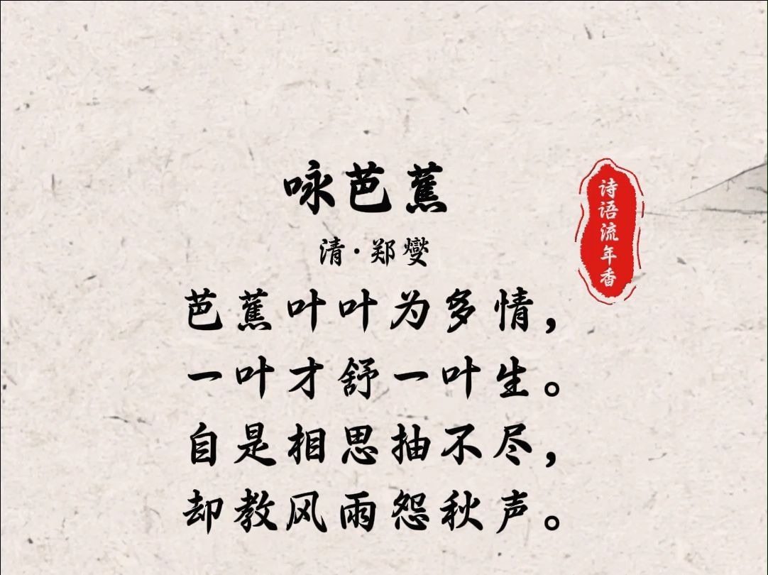 每日古诗词丨郑燮《咏芭蕉》,芭蕉叶叶为多情,一叶才舒一叶生