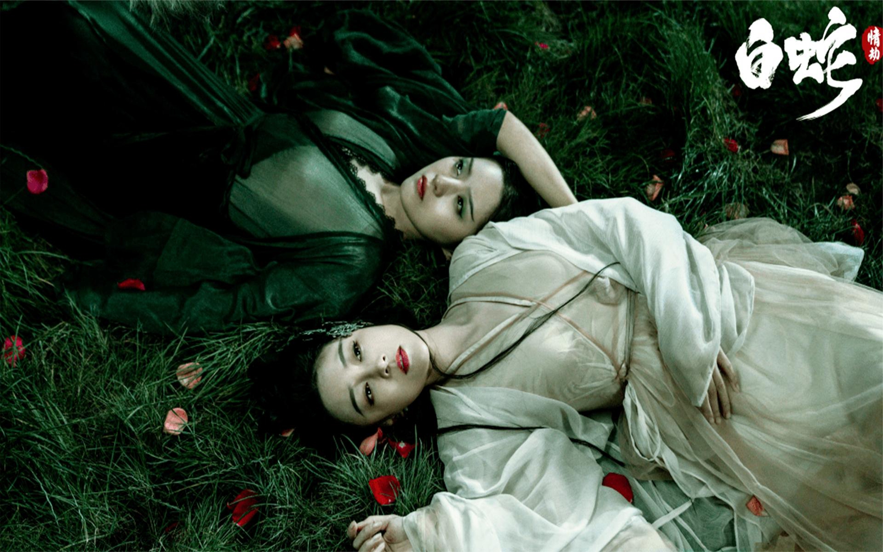 电影版白蛇情劫,讲述白蛇与许仙的爱情故事