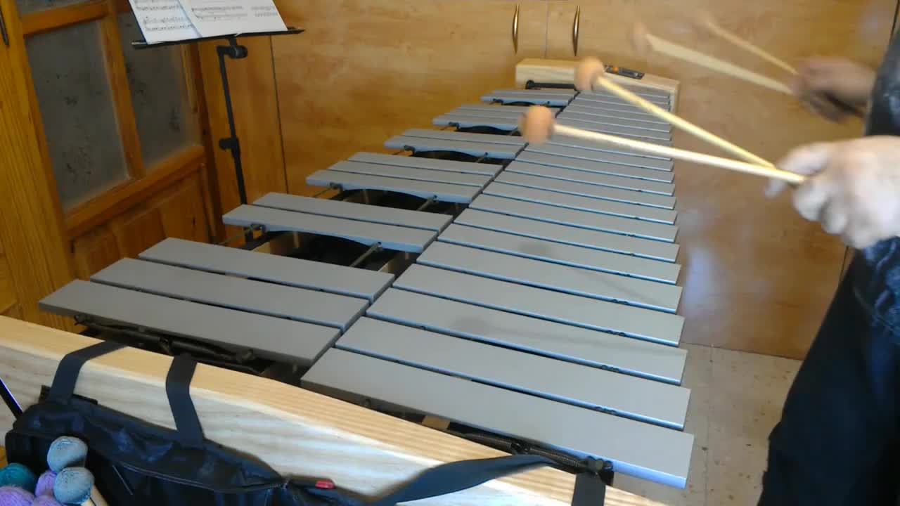 wow国外玩家电颤琴演奏-安度因"王的道路"主题-背景音乐