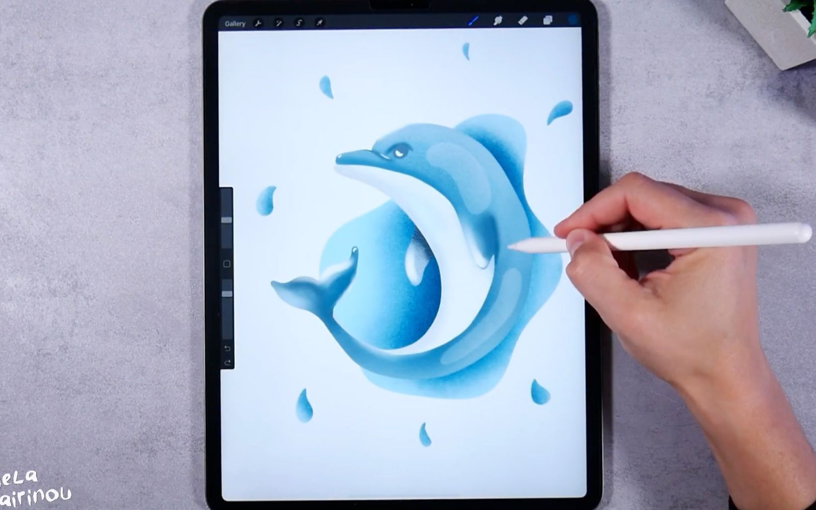 ipad pro【商业插画】可爱的海豚哔哩哔哩bilibili