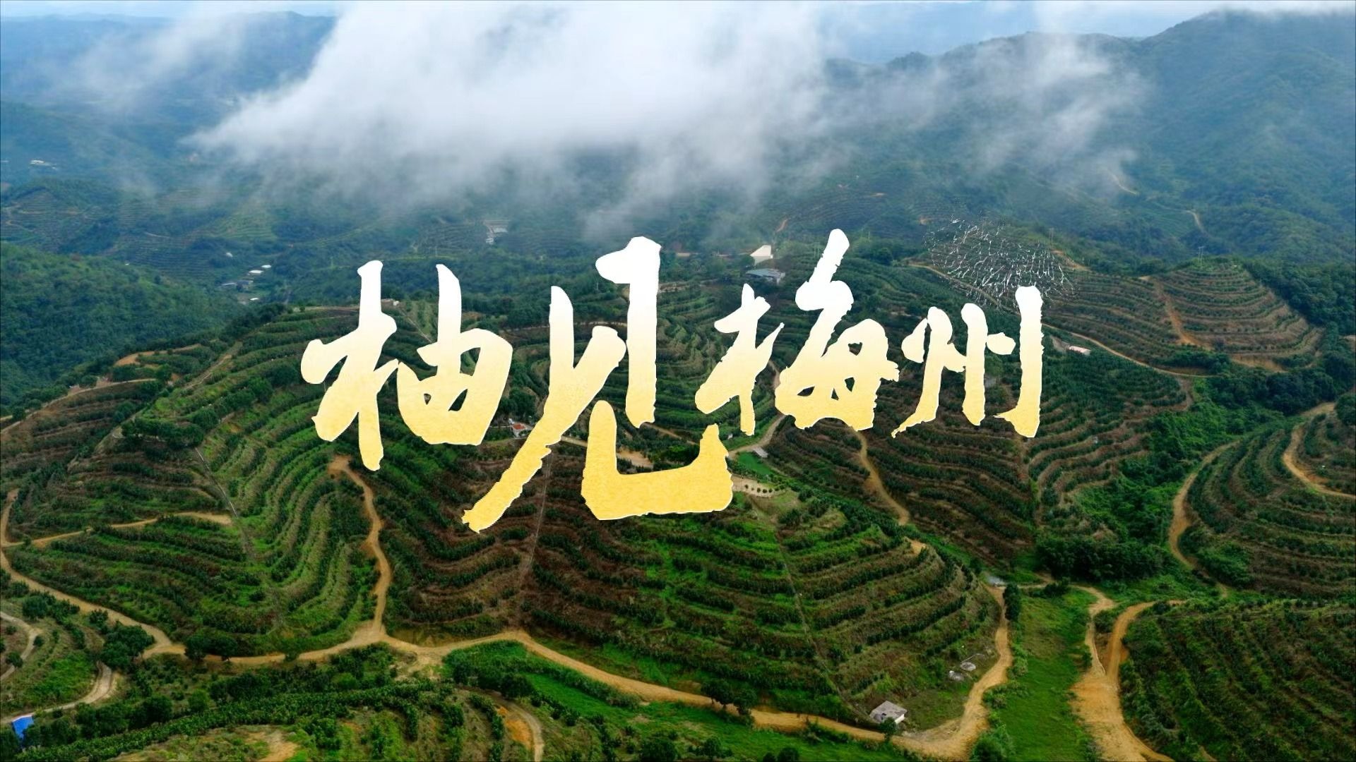 “柚” 见 梅 州