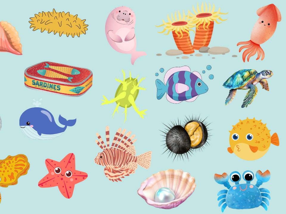 marine life vocabulary丨"海洋生物"的英语单词
