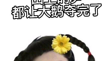 夺笋达人邵大鹅