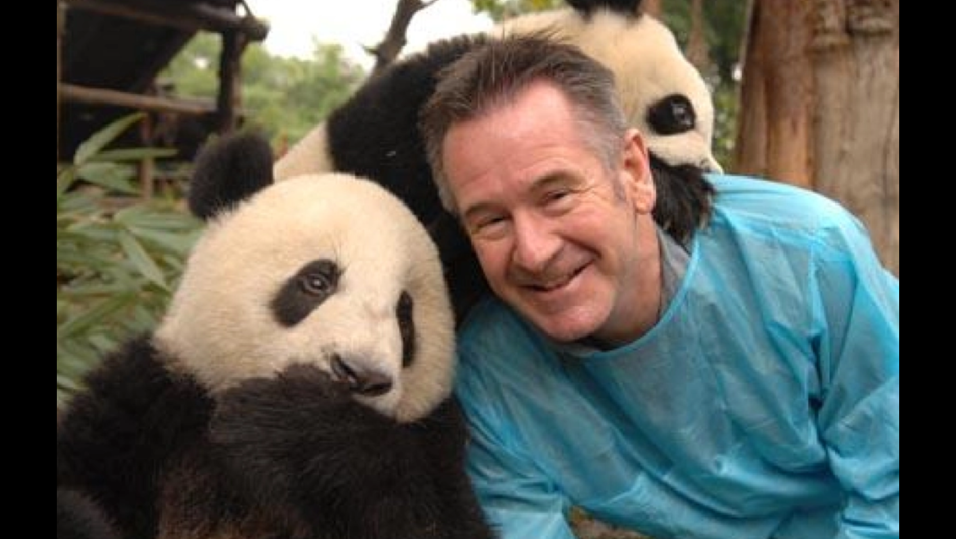 童年男神——马文·奈吉尔