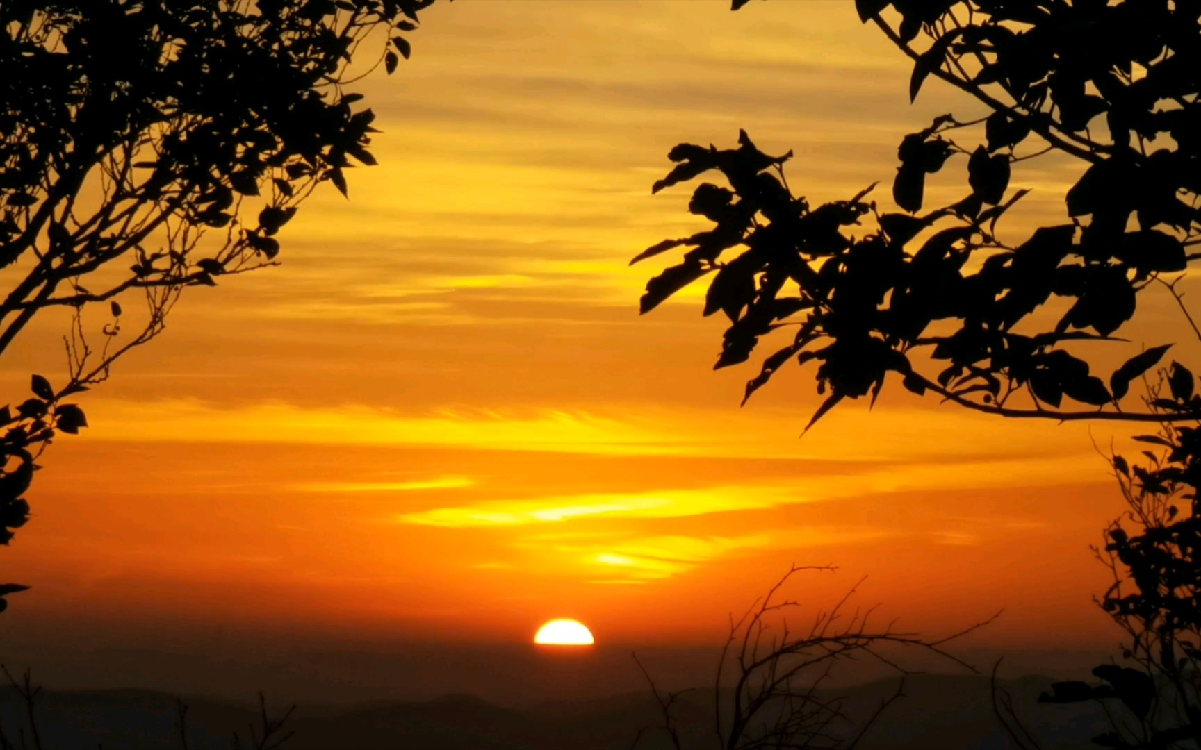 【游记】上海到南京卧铺 夜爬紫金山看日出 两个笨比的快乐日常