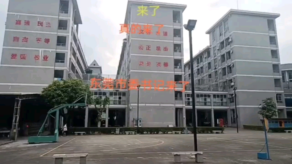 东莞市委书记亲临公司生产车间视察和指导工作,倍感荣幸!哔哩哔哩bilibili