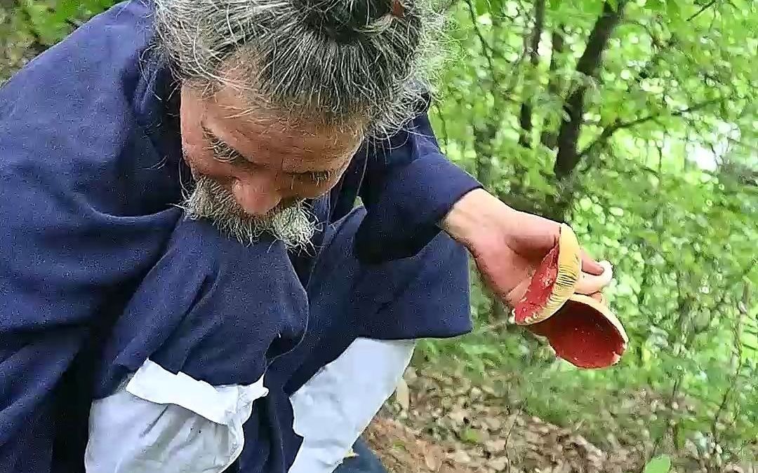 这会终于难到老修行了!刚下完雨山上冒出来很多红伞菌,谁知道?这能吃吗?哔哩哔哩bilibili