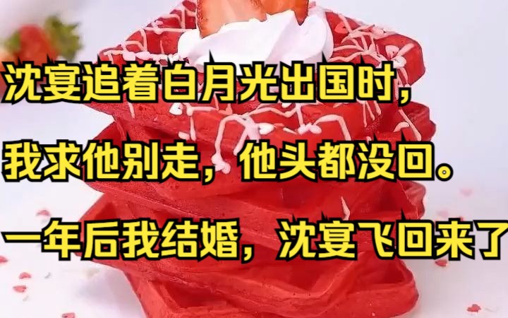 沈宴追着白月光出国时,我求他别走,他头都没回.一年后我结婚,沈宴飞回来了.吱呼小说推荐《厮守难求》哔哩哔哩bilibili