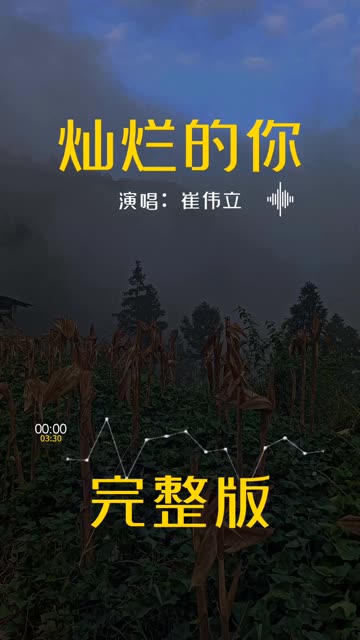 《灿烂的你》完整版