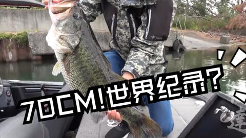 搜索 哔哩哔哩 つロ干杯 Bilibili