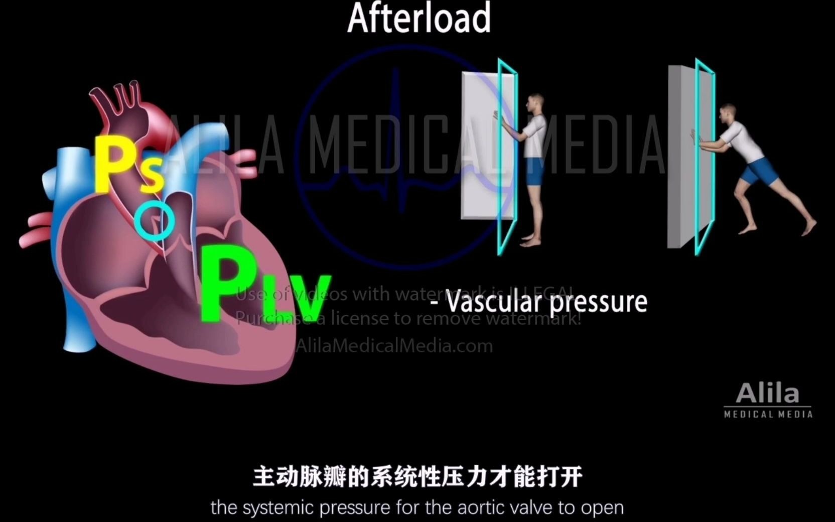 【Alila Medical Media】34.心输出量、每搏输出量、舒张末期容积、收缩末期容积和射血分数哔哩哔哩bilibili