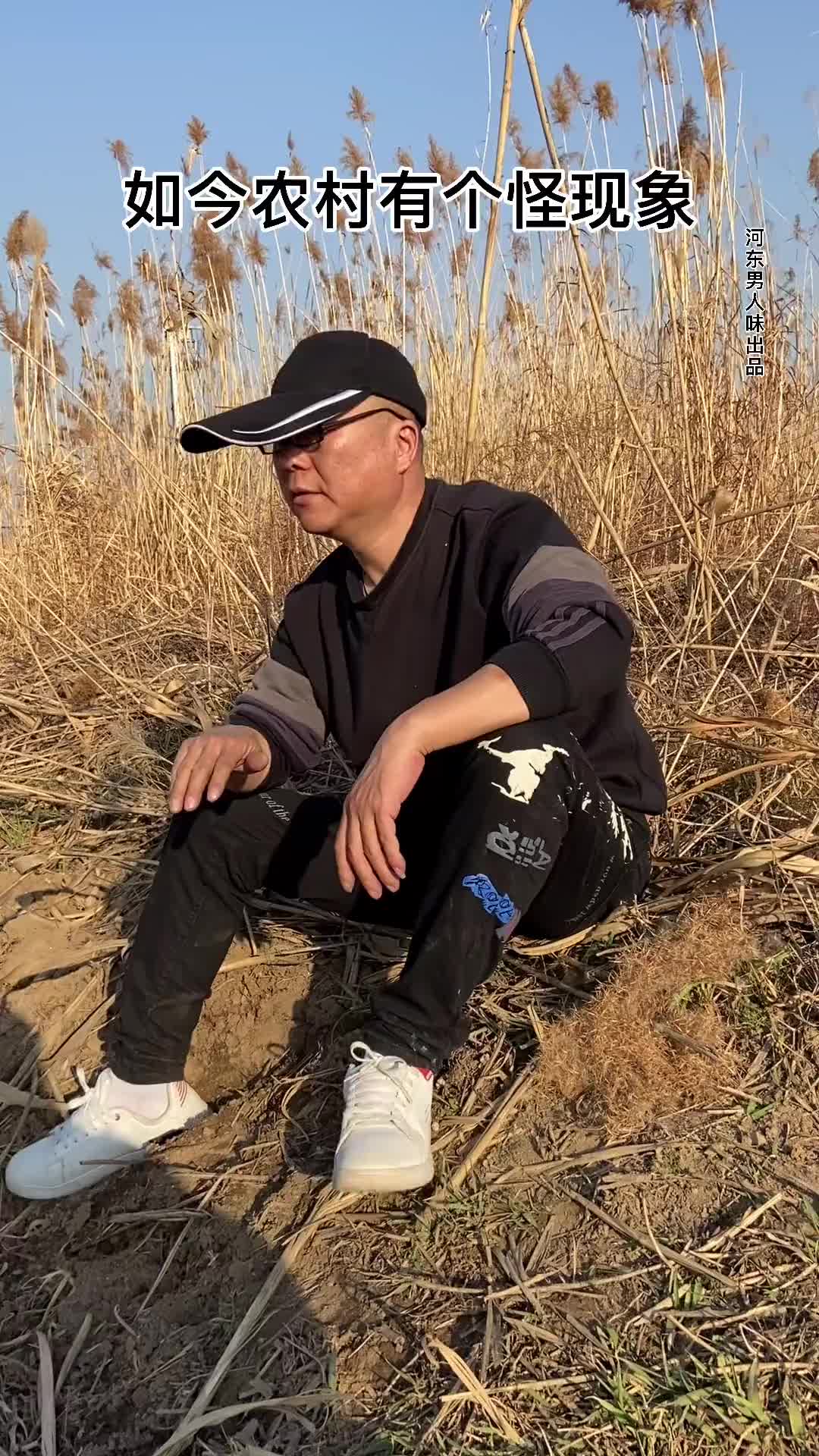 该走的都走了年后的农村又没人了河东男人味改编歌曲河东男人味波